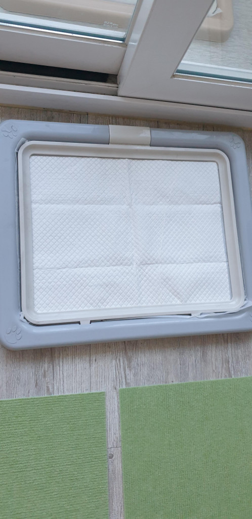 댓글 이미지