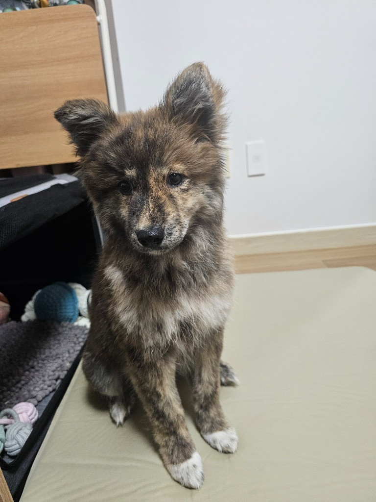 이미지