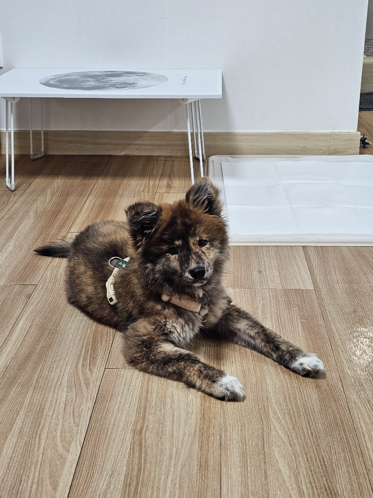 이미지