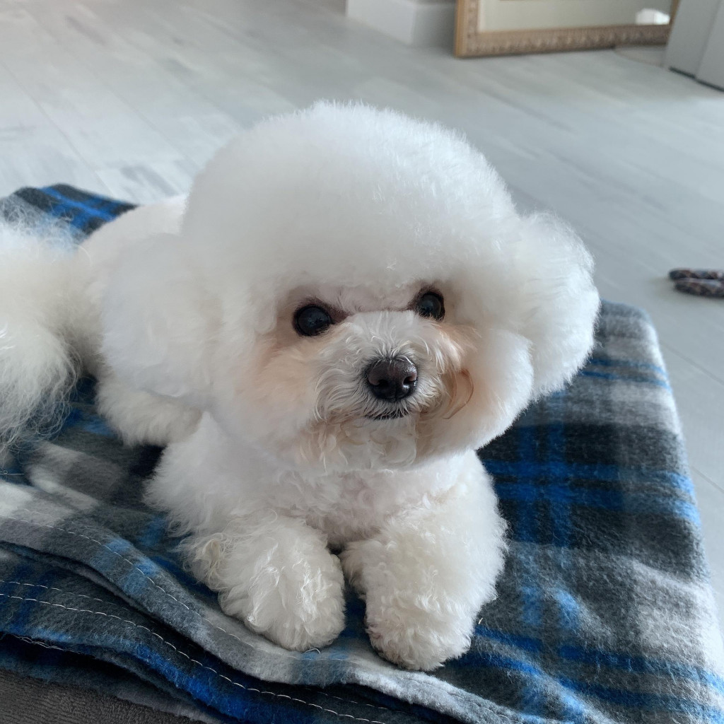 댓글 이미지