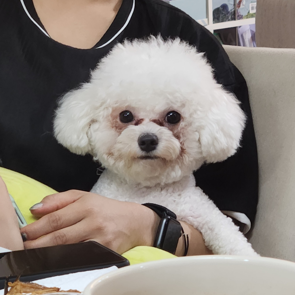 댓글 이미지