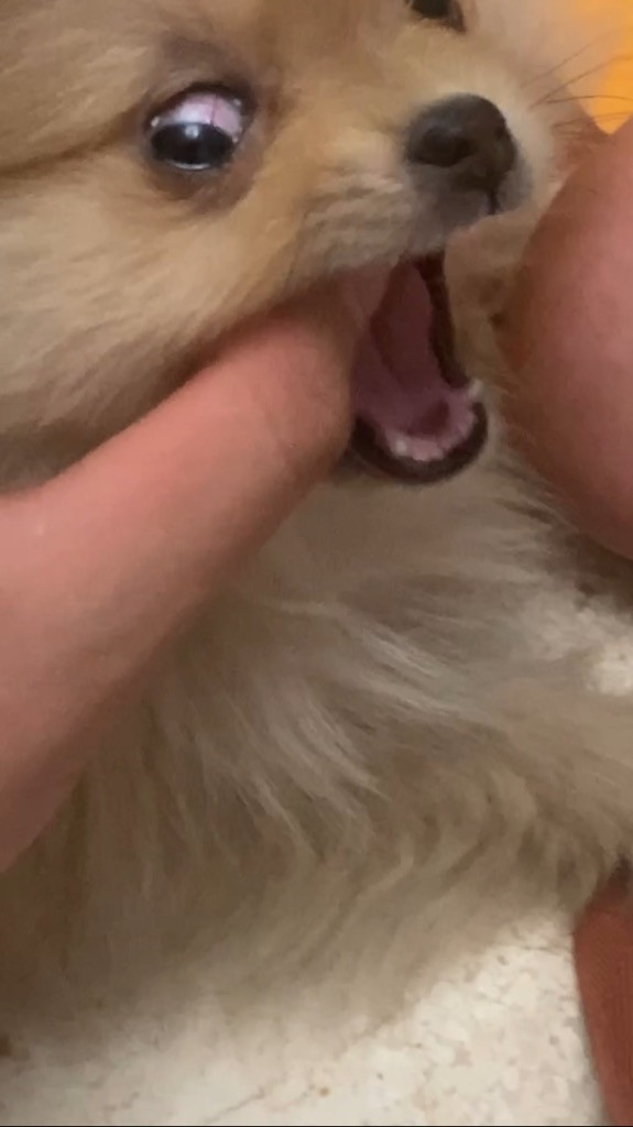 이미지