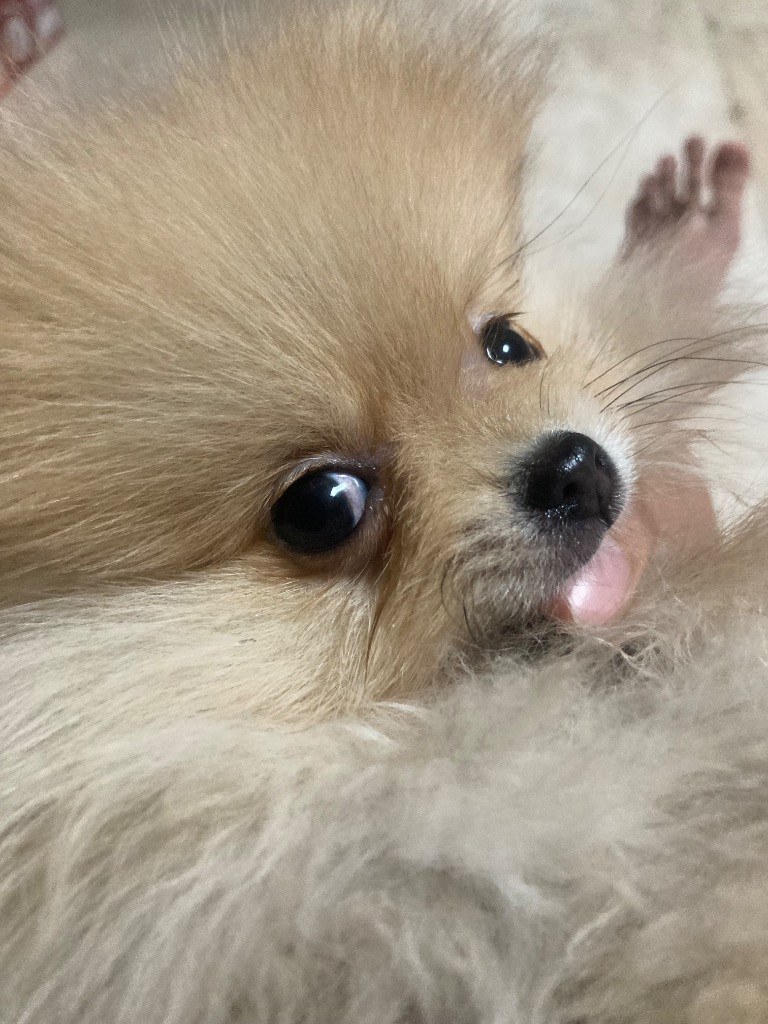 이미지