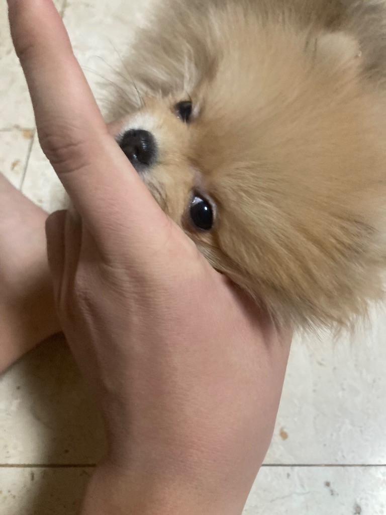 이미지