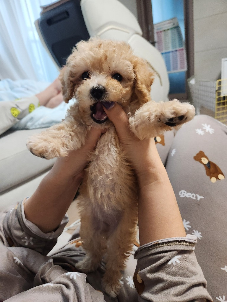 이미지