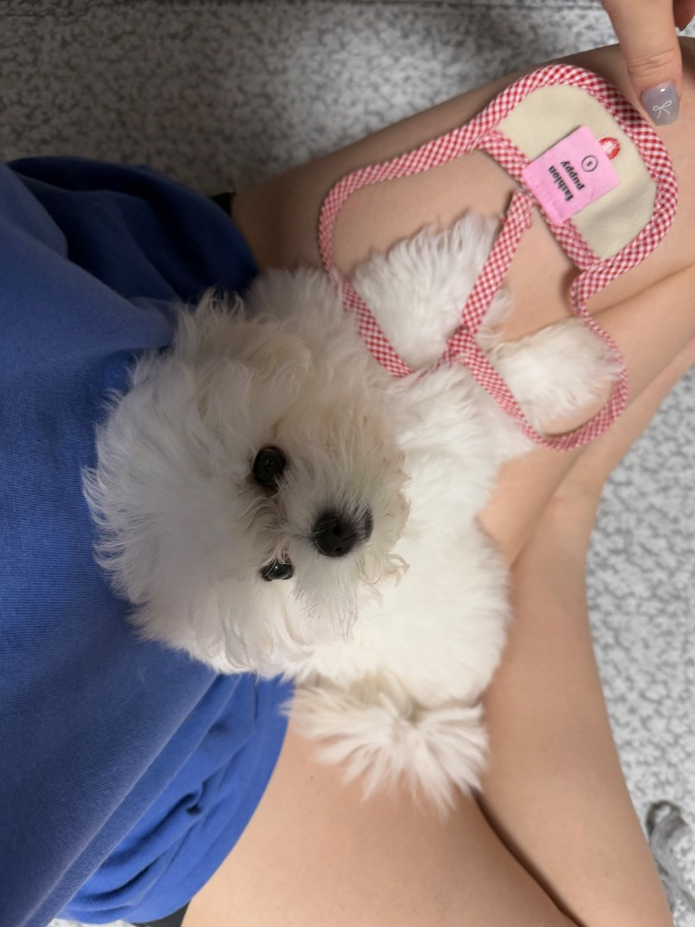 이미지