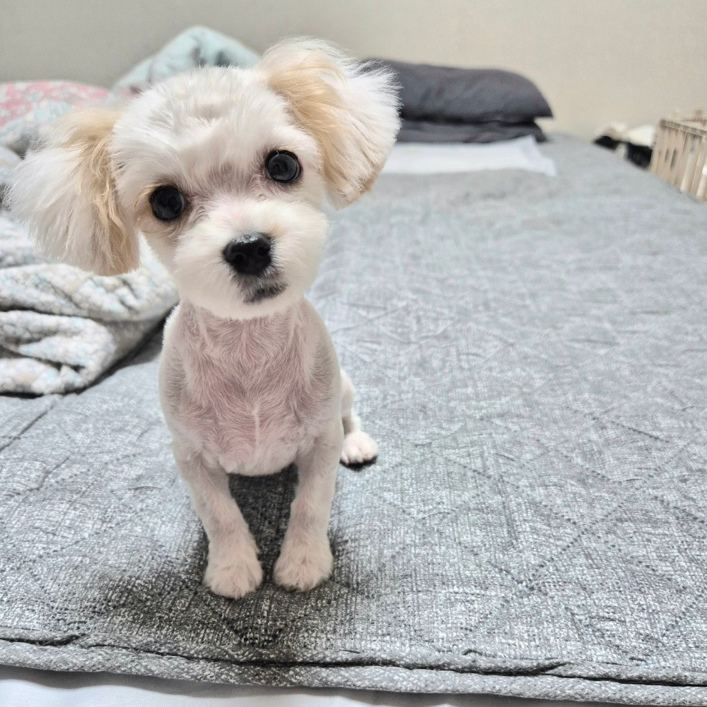 이미지