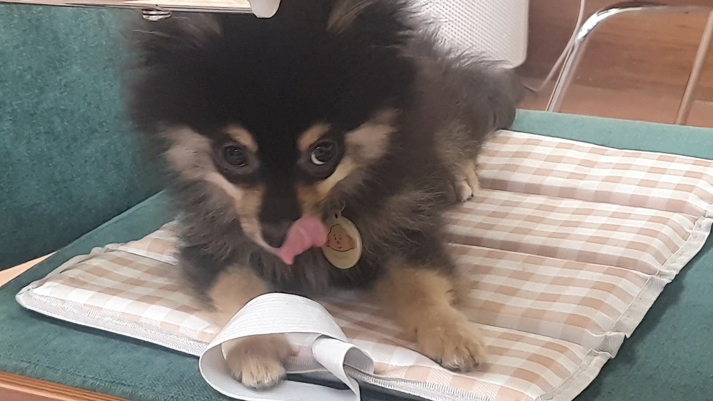 이미지