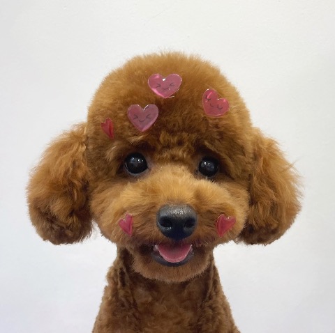 프로필 이미지