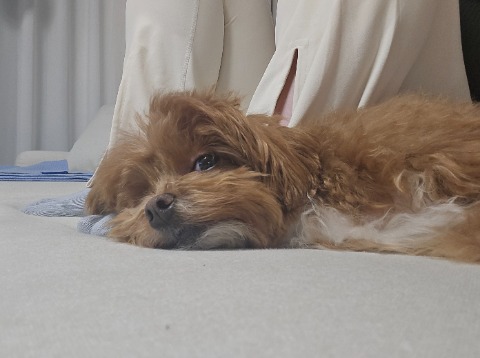 프로필 이미지