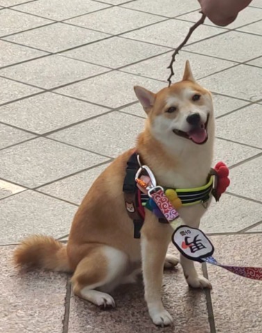 프로필 이미지