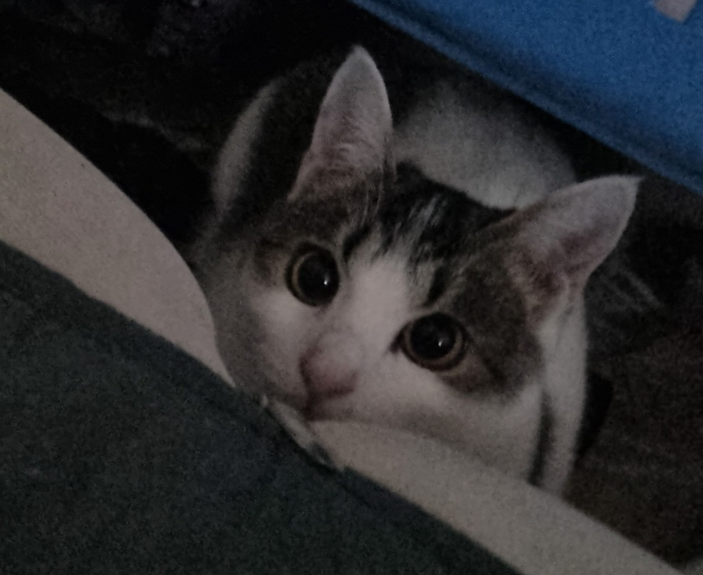 이미지