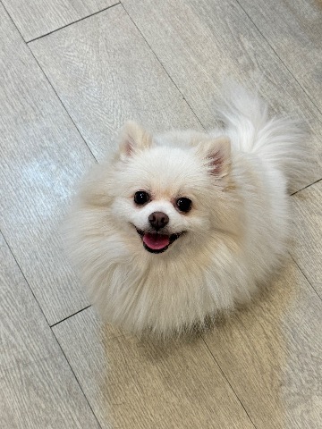 프로필 이미지