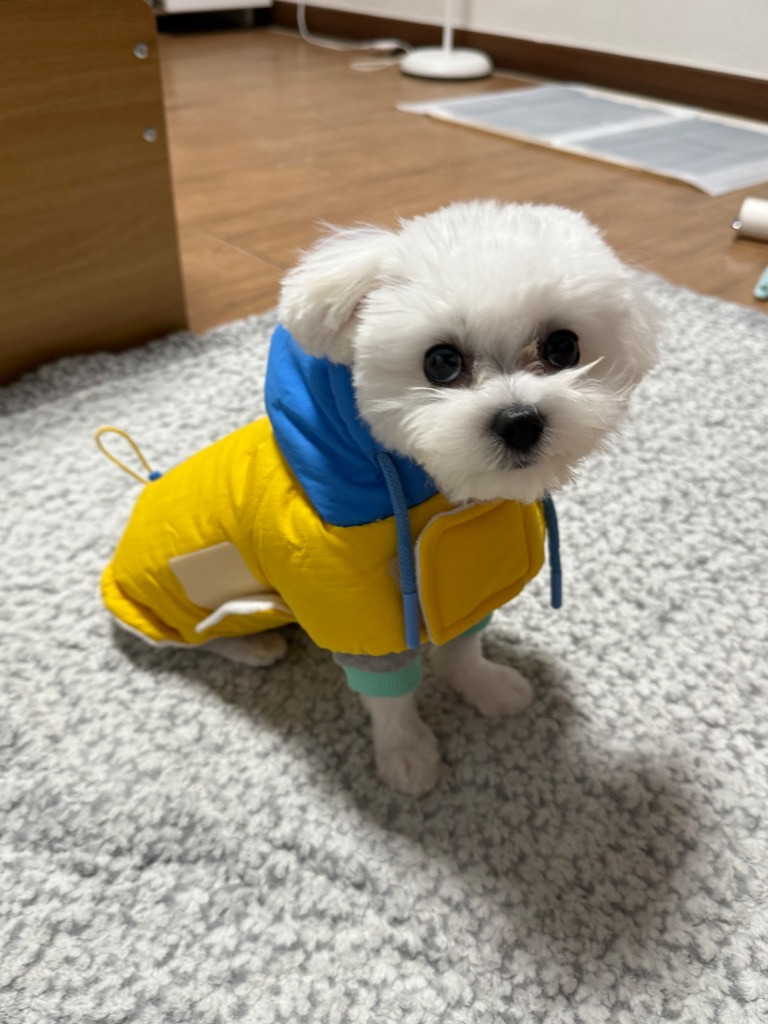 이미지