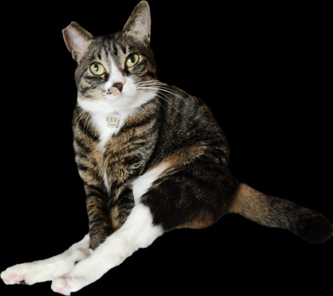 프로필 이미지