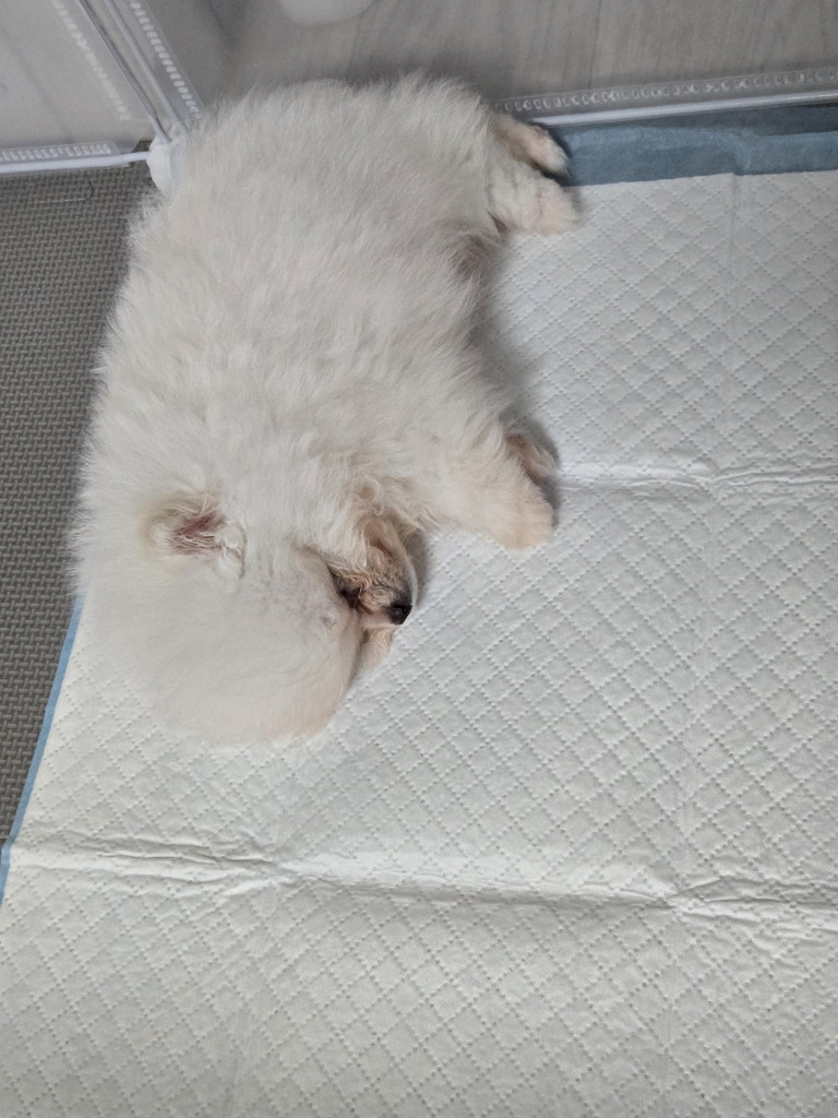 댓글 이미지
