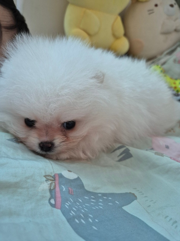 이미지