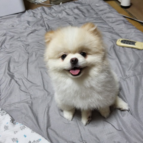프로필 이미지