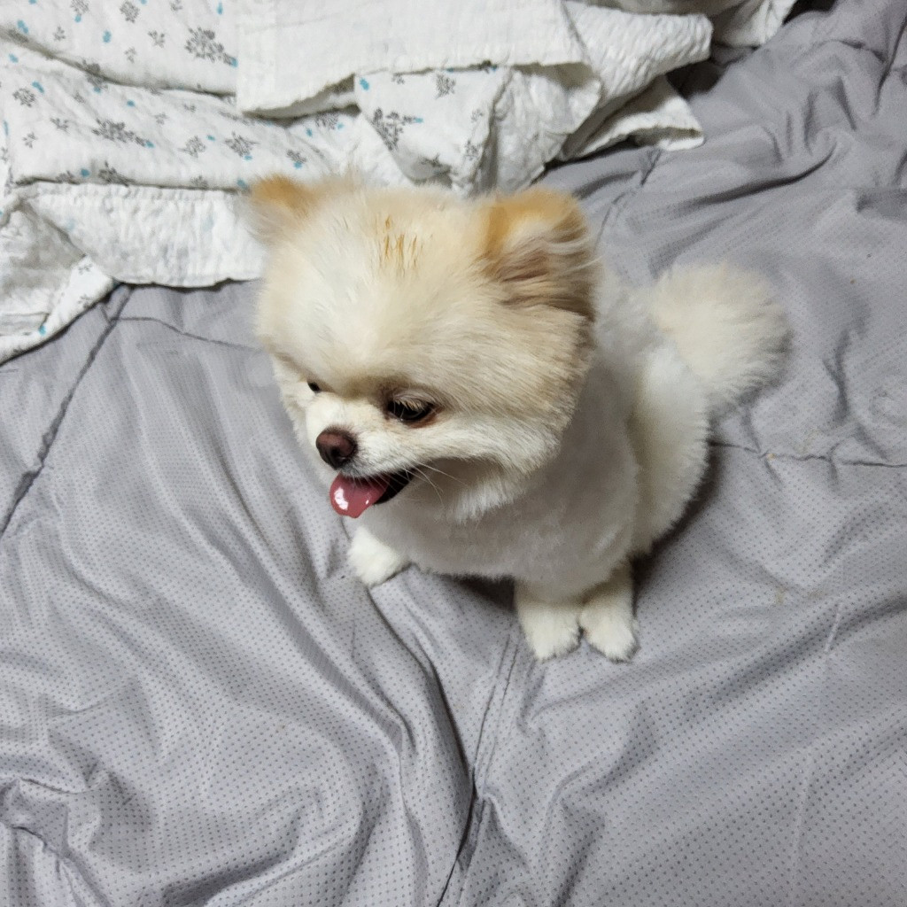 이미지