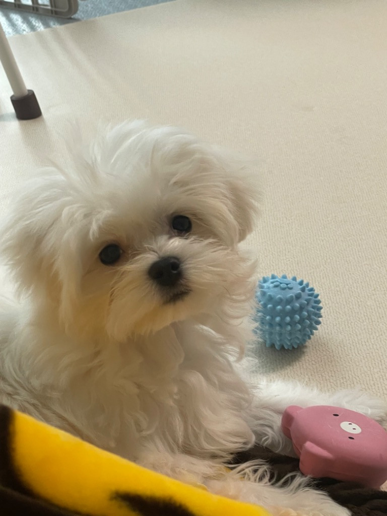 이미지