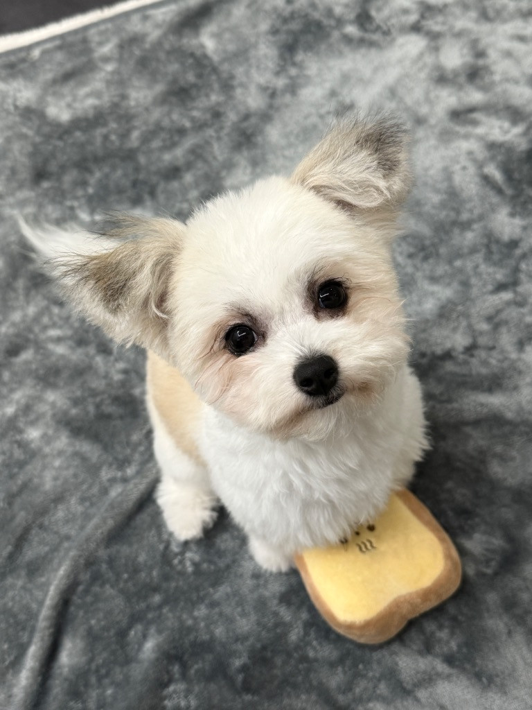 이미지