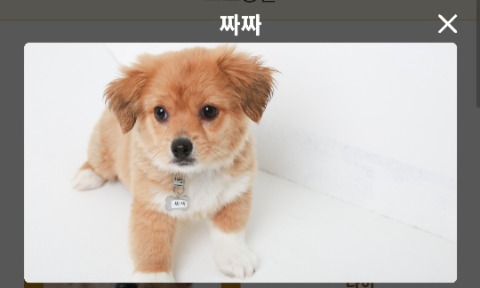 프로필 이미지