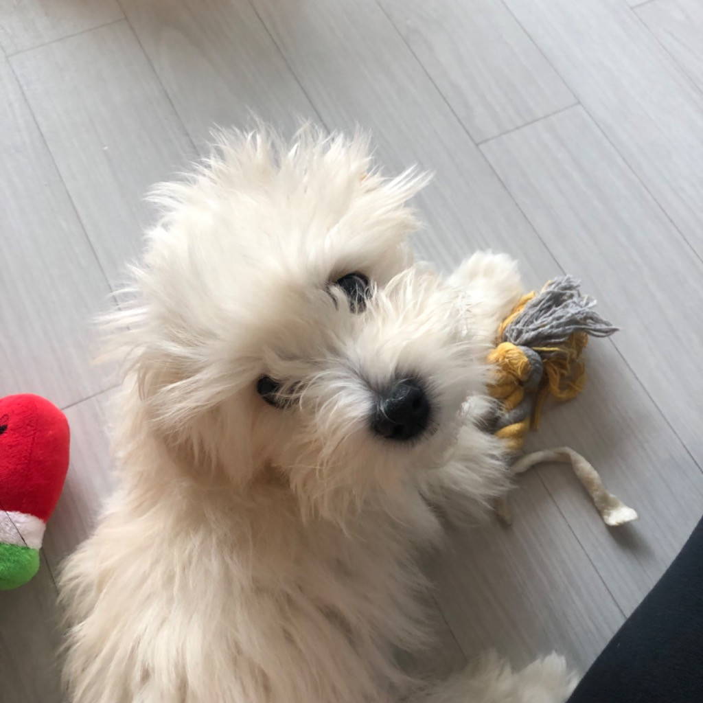 이미지
