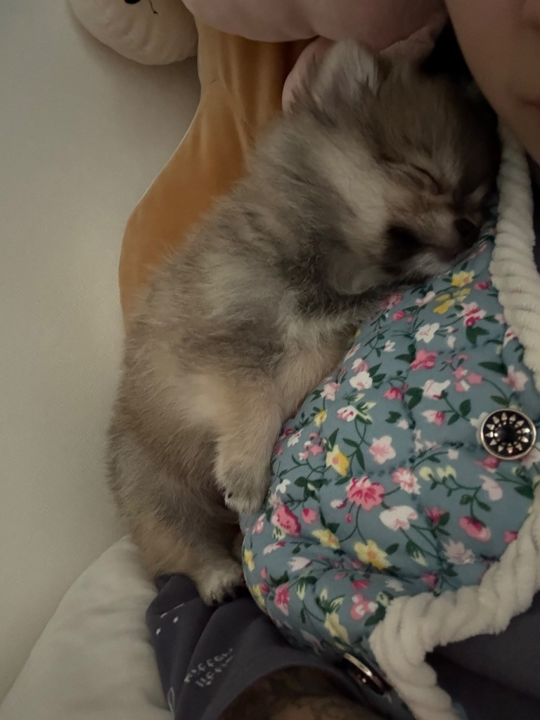이미지