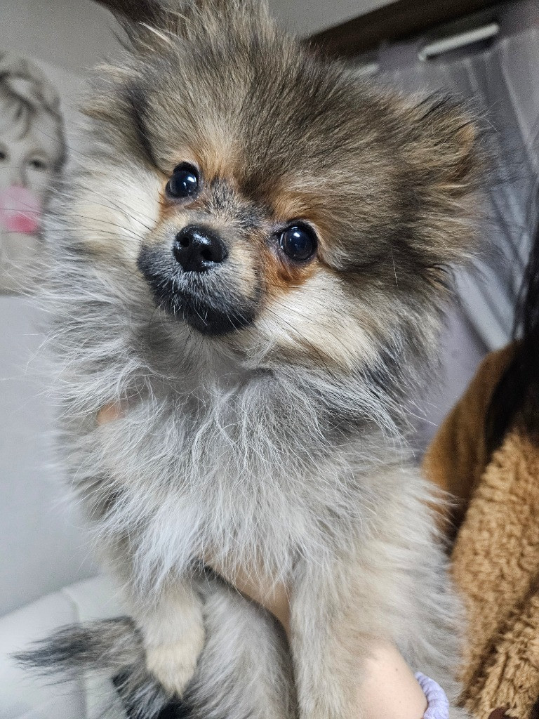 이미지