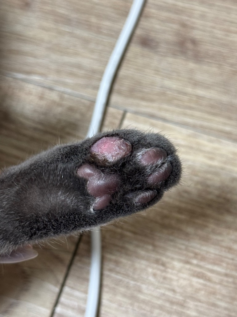 이미지