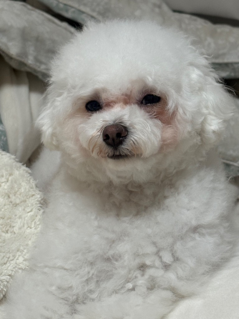 이미지