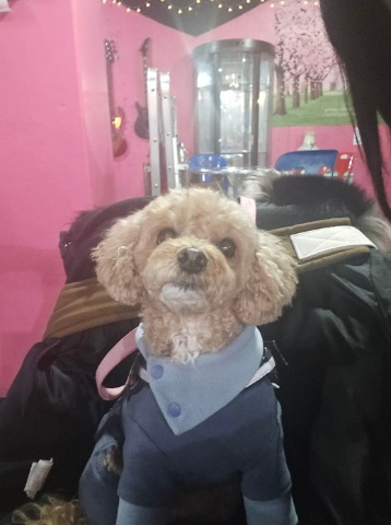 프로필 이미지