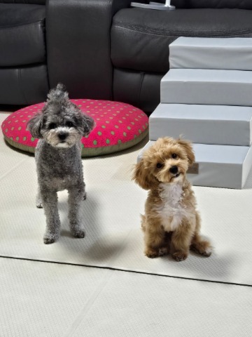 프로필 이미지