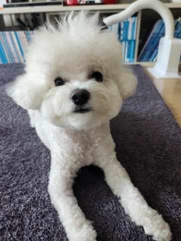프로필 이미지