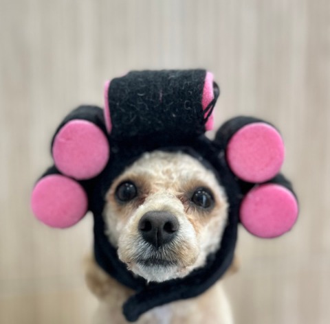 프로필 이미지