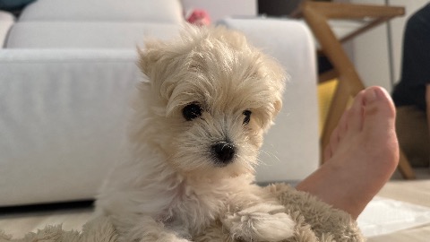 프로필 이미지