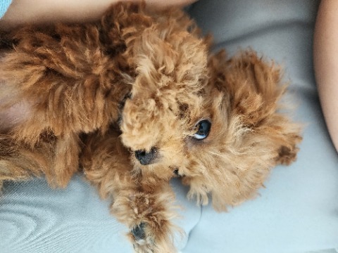 프로필 이미지