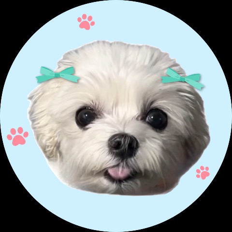 프로필 이미지