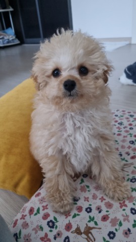 프로필 이미지