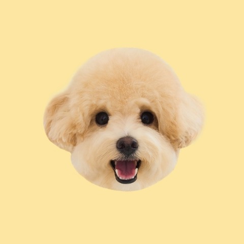 프로필 이미지