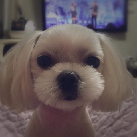 프로필 이미지