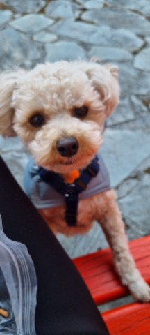 프로필 이미지