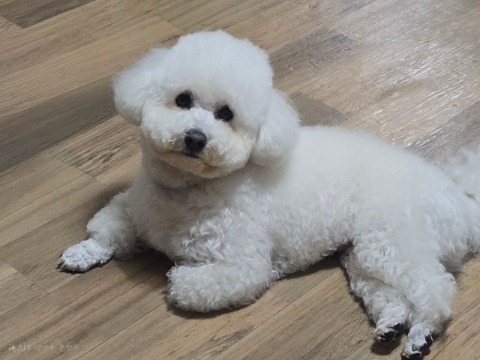 프로필 이미지