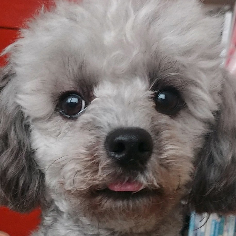 프로필 이미지