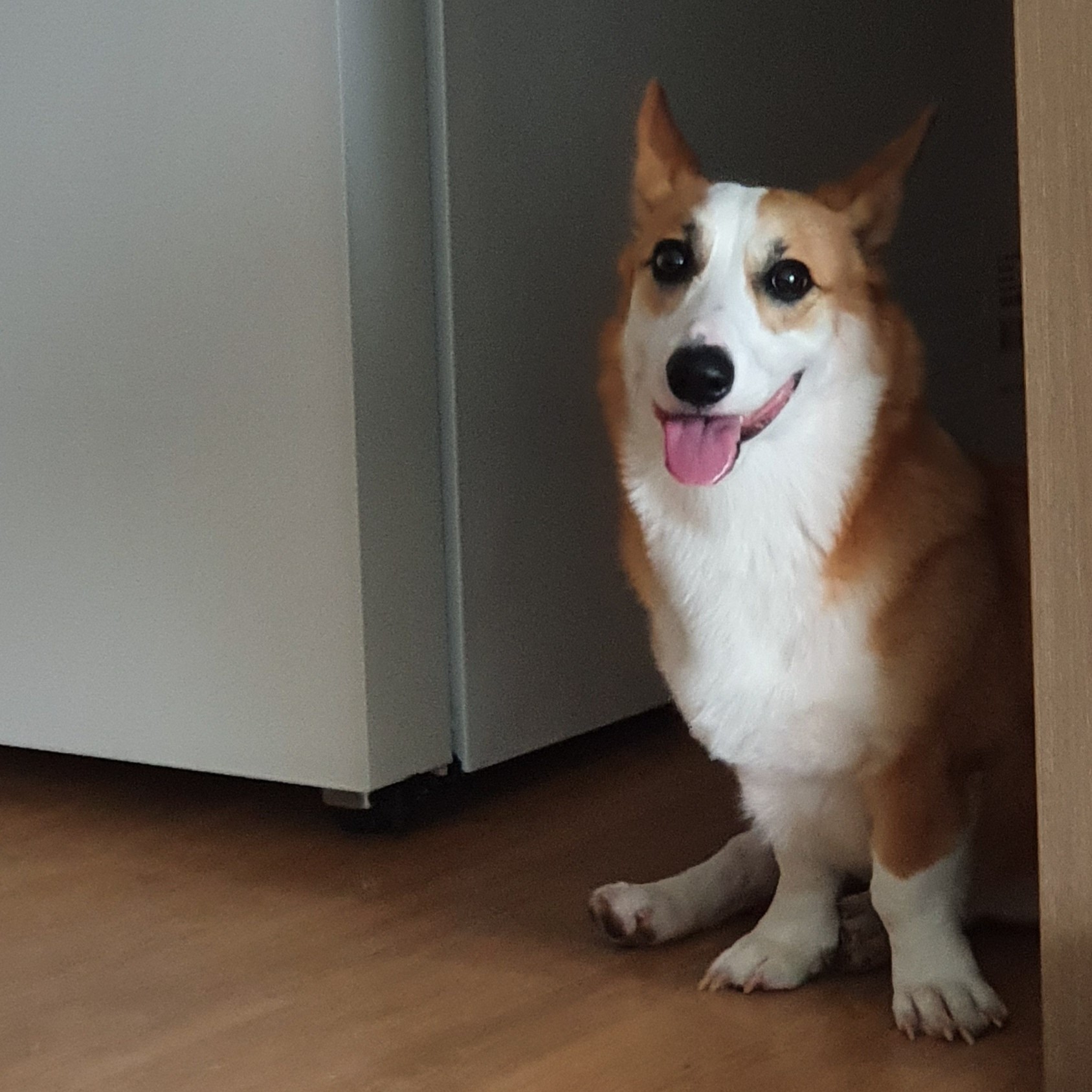 프로필 이미지