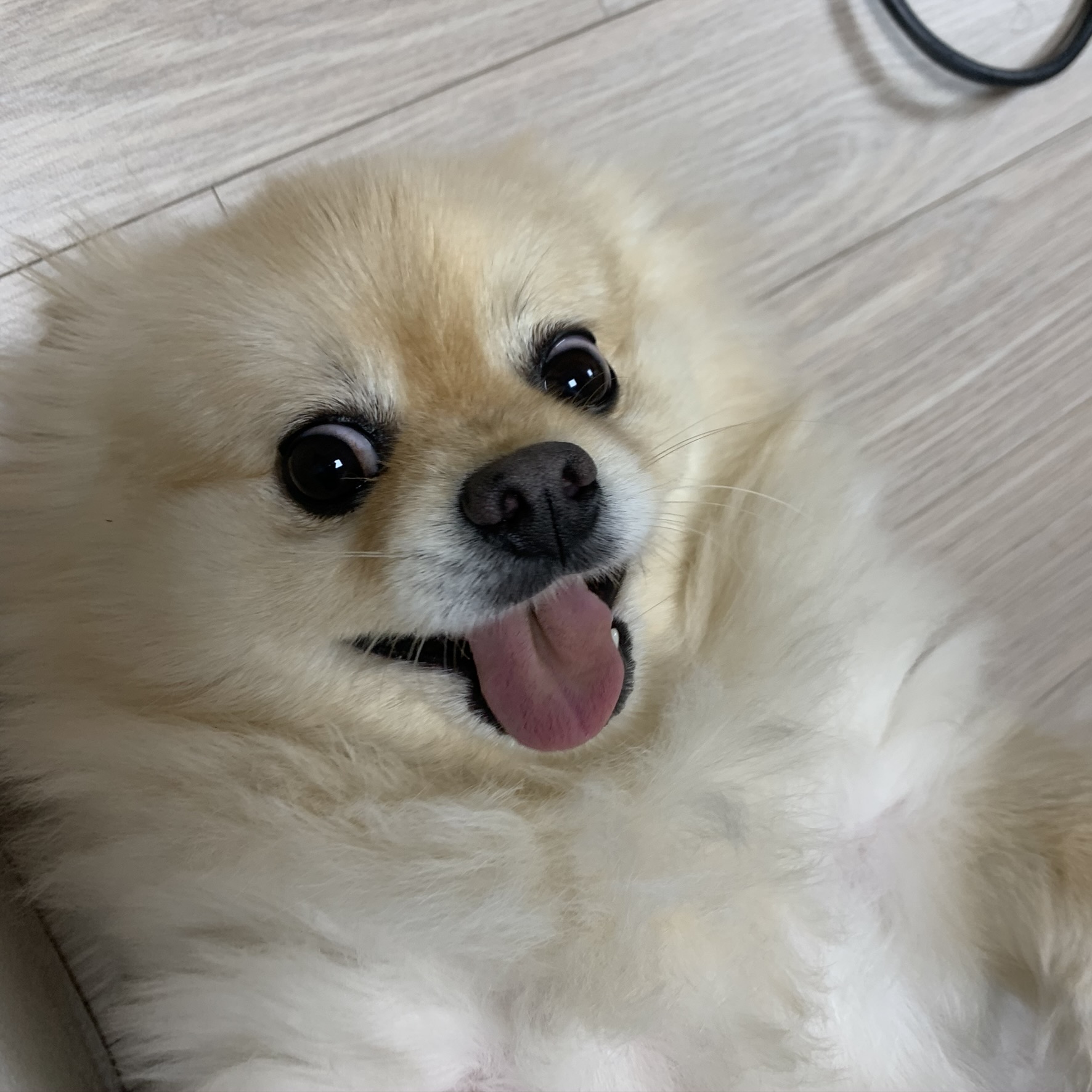 프로필 이미지