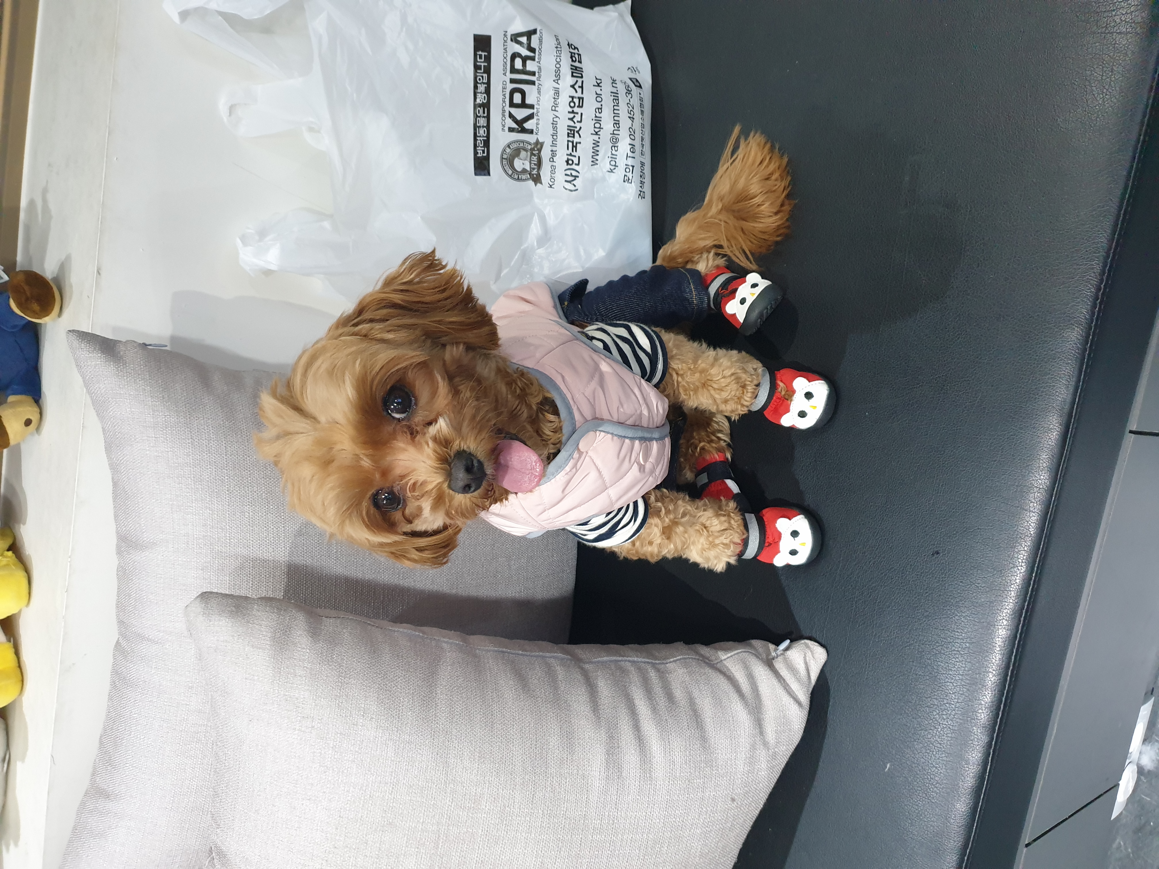 프로필 이미지