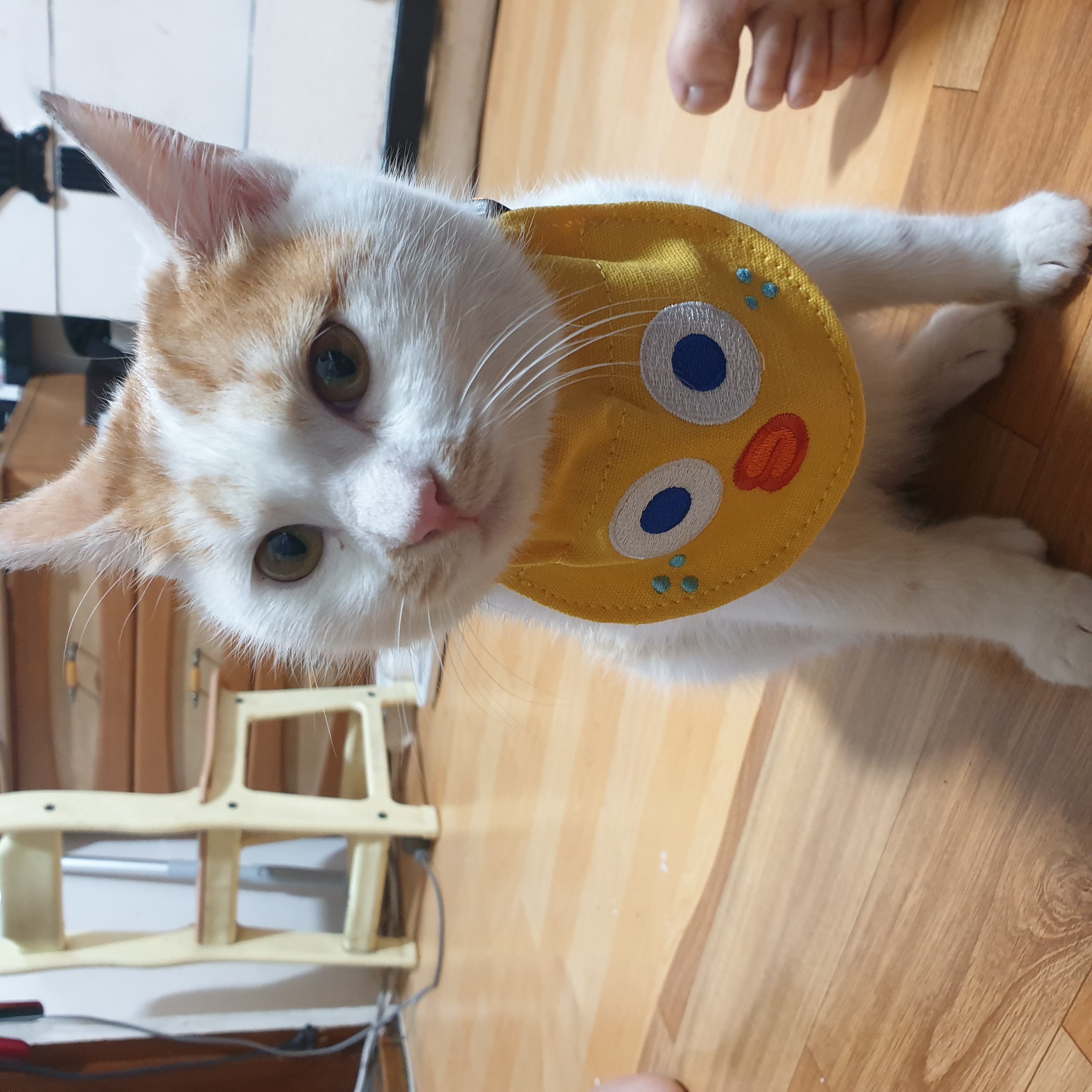 프로필 이미지
