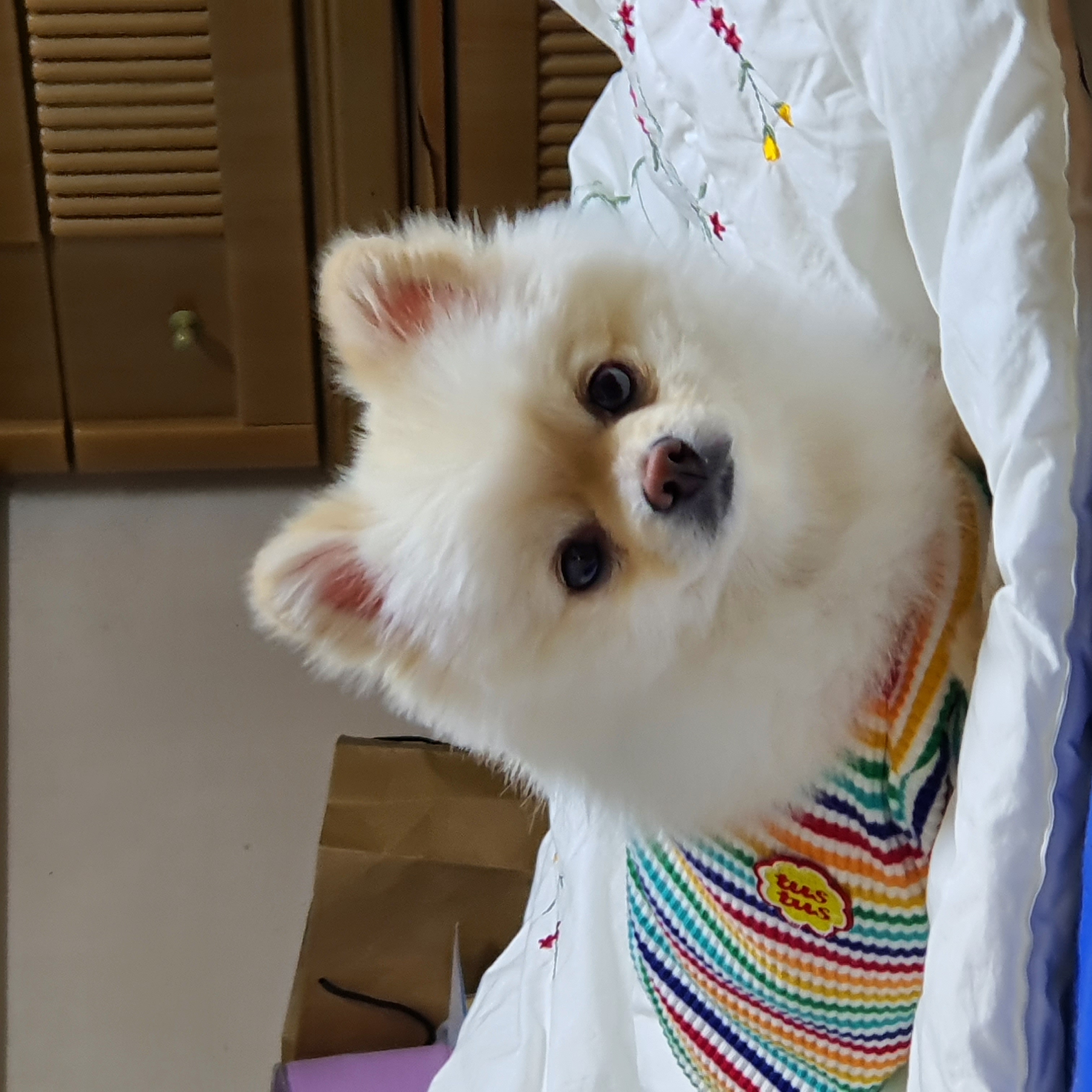 프로필 이미지