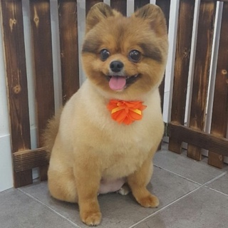 프로필 이미지